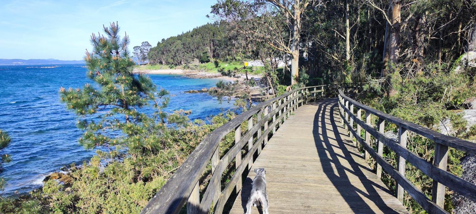 Apartamento El Rincon De Elia, Haz Realidad Tu Sueno De Vivir Con Vistas Al Mar Villanueva De Arosa Kültér fotó